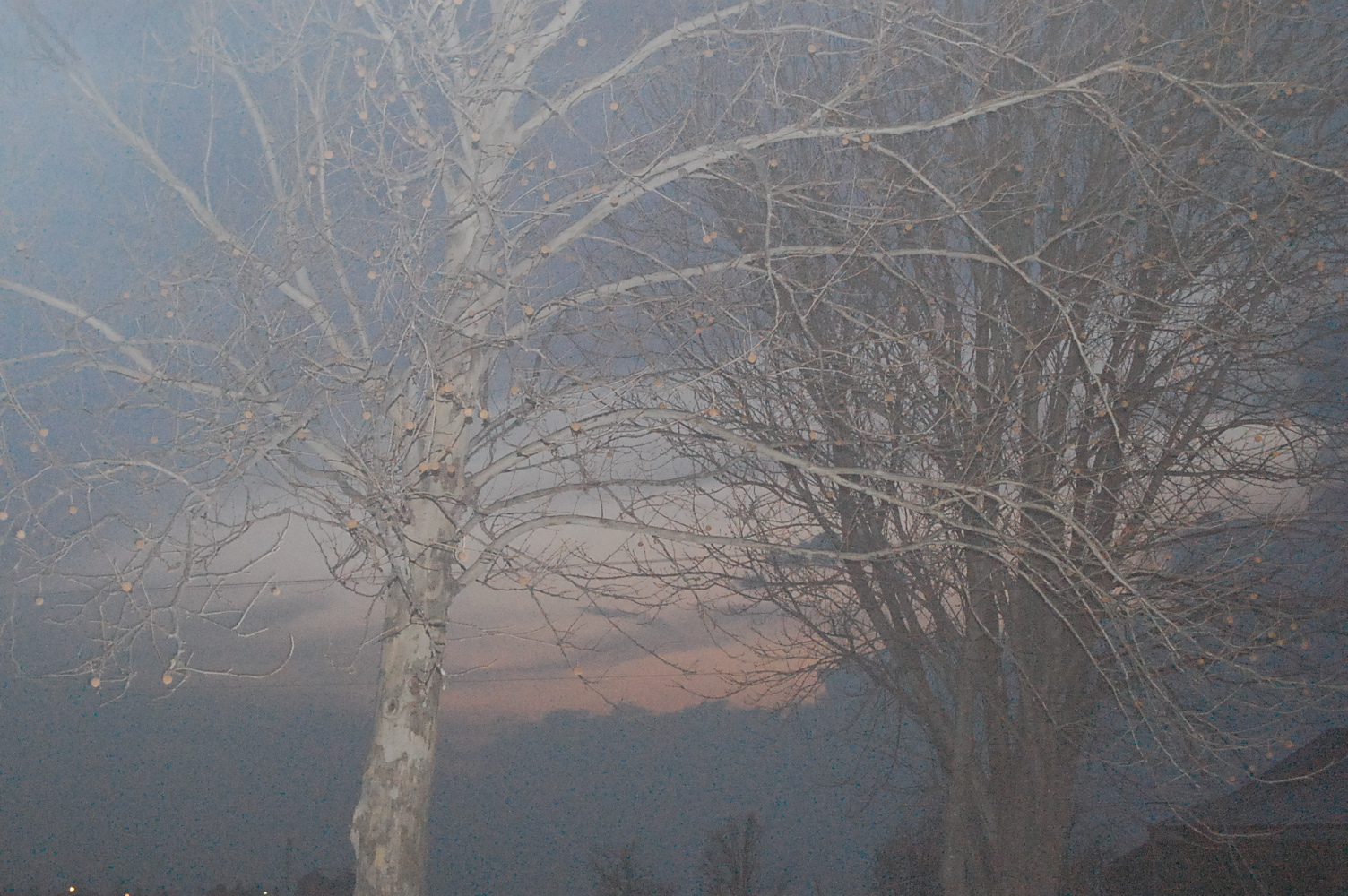 A foggy night in Oklahoma